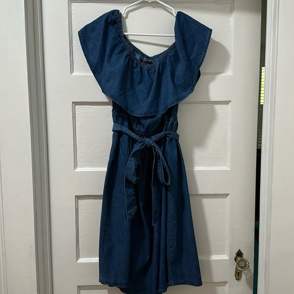 Lane Bryant Fit and Flare Chambre dress, size 14-16